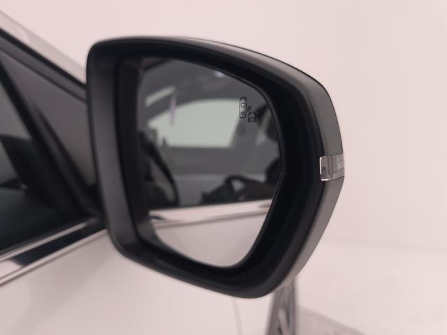 PEUGEOT 3008 usata, con Bluetooth