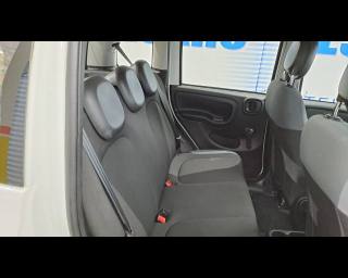 FIAT New Panda usata 14