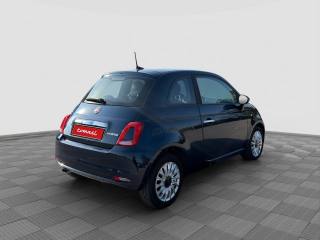 FIAT 500 usata 4