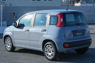 FIAT Panda usata, con Climatizzatore