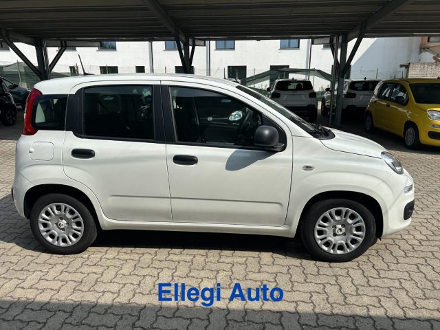 FIAT Panda usata, con Antifurto
