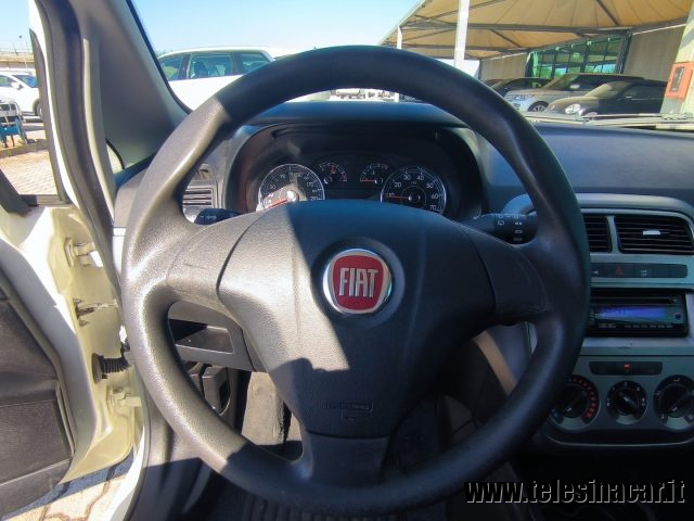 FIAT Punto usata 12