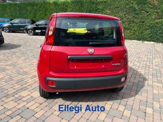 FIAT Pandina usata, con Immobilizzatore elettronico