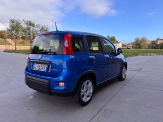 FIAT Panda usata 52