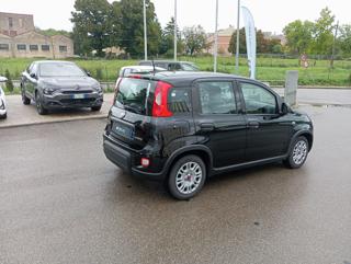 FIAT Panda usata, con Boardcomputer