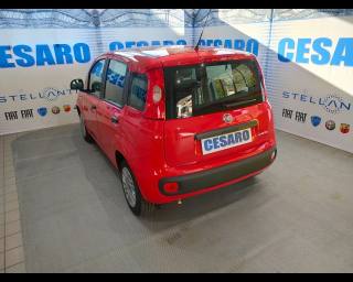 FIAT New Panda usata, con Alzacristalli elettrici