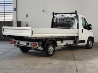 FIAT Ducato usata, con Cronologia tagliandi