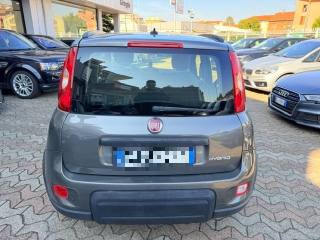 FIAT Panda usata, con Antifurto