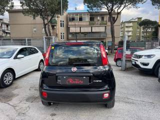 FIAT Panda usata, con Antifurto