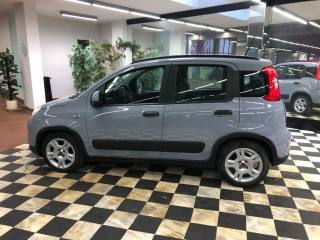 FIAT Panda usata, con Climatizzatore