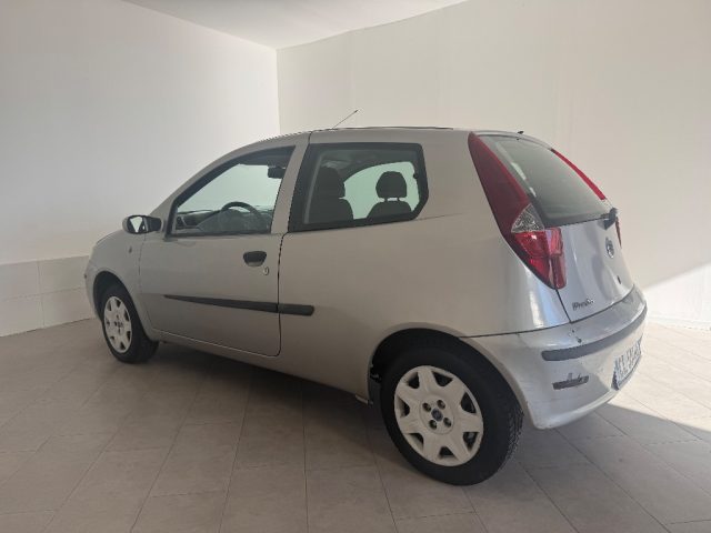 FIAT Punto usata 5