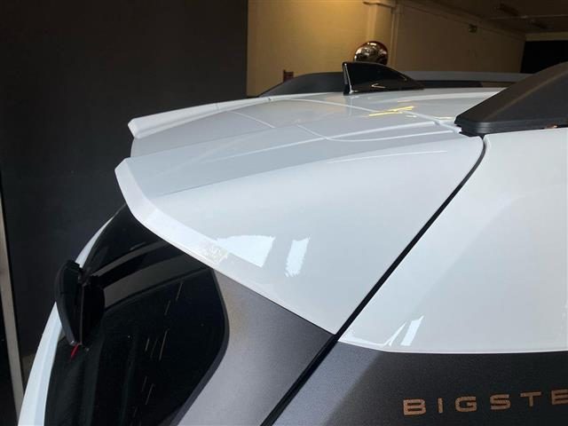 DACIA Bigster usata 18