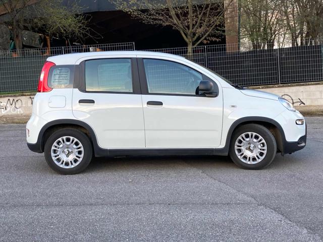 FIAT Panda usata, con Airbag Passeggero