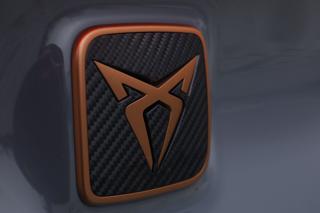 CUPRA Formentor usata, con Airbag testa