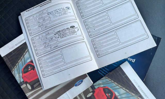 FORD EcoSport usata 17