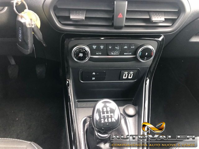 FORD EcoSport usata, con Fendinebbia