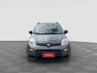 FIAT Panda usata 7