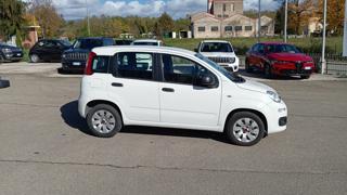 FIAT Panda usata, con Alzacristalli elettrici