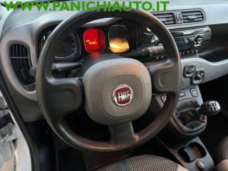 FIAT Panda usata, con Servosterzo