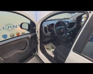 FIAT New Panda usata, con Chiusura centralizzata