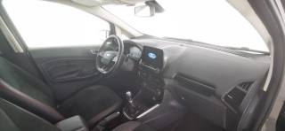FORD EcoSport usata 44