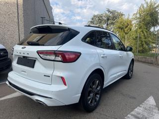 FORD Kuga usata, con Airbag Passeggero