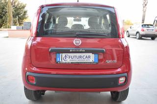FIAT Panda usata 14