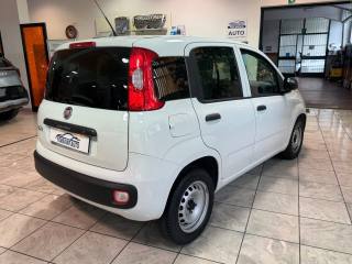FIAT New Panda usata, con Alzacristalli elettrici
