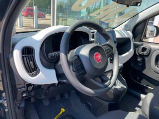 FIAT Pandina usata, con Cruise Control