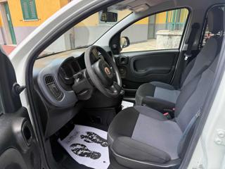 FIAT Panda usata 8