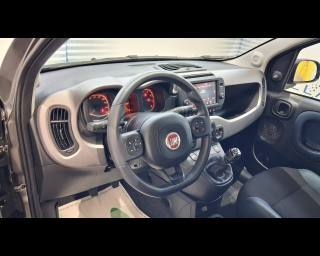 FIAT New Panda usata, con Controllo automatico clima