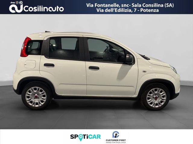 FIAT Panda usata, con Antifurto