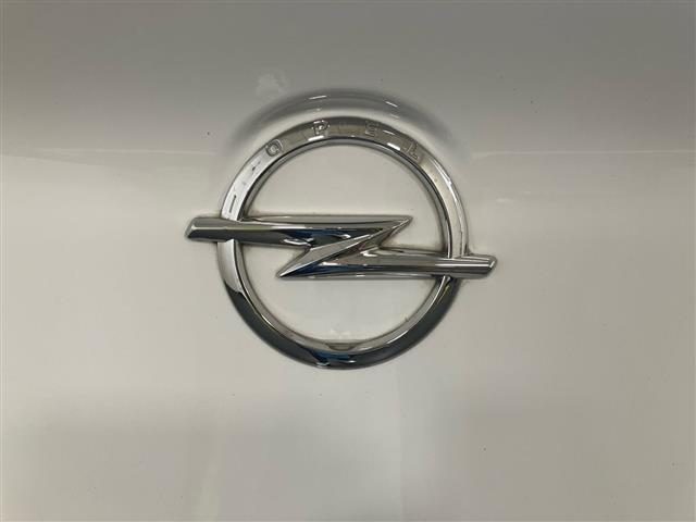 OPEL Grandland X usata, con Hill holder