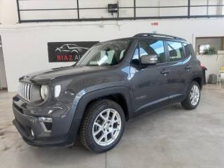 JEEP Renegade usata, con Boardcomputer