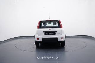 FIAT New Panda usata, con Antifurto