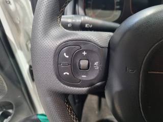 FIAT Panda usata, con Trazione integrale