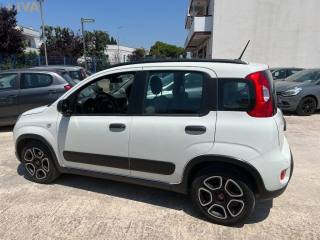FIAT Panda usata 7