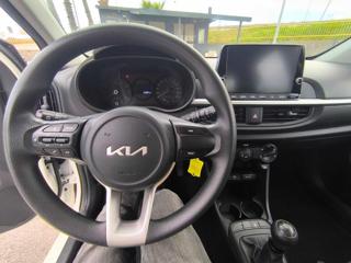 KIA Picanto usata, con Airbag testa