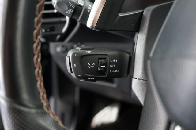 DS AUTOMOBILES DS 7 usata 54