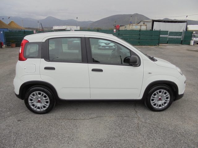 FIAT Panda usata 15