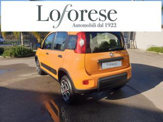 FIAT Panda usata, con Autoradio