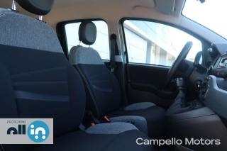 FIAT Panda usata 12