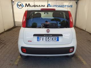 FIAT Panda usata, con Fendinebbia