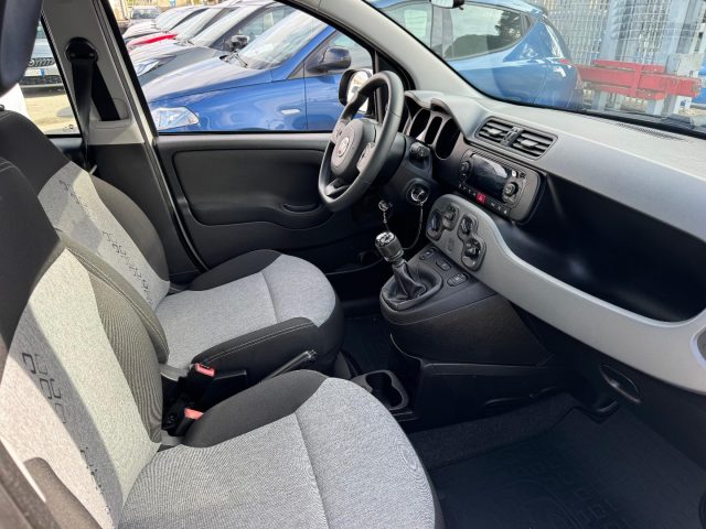 FIAT Panda usata, con Controllo trazione