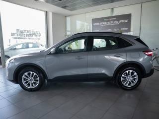 FORD Kuga usata, con Bracciolo