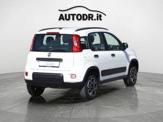 FIAT Panda usata 49