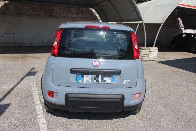 FIAT Panda usata 4