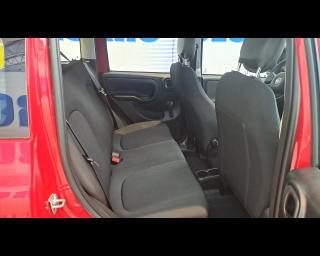 FIAT New Panda usata 9