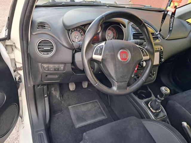 FIAT Punto usata 16