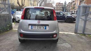 FIAT Panda usata, con Alzacristalli elettrici